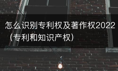 怎么识别专利权及著作权2022（专利和知识产权）