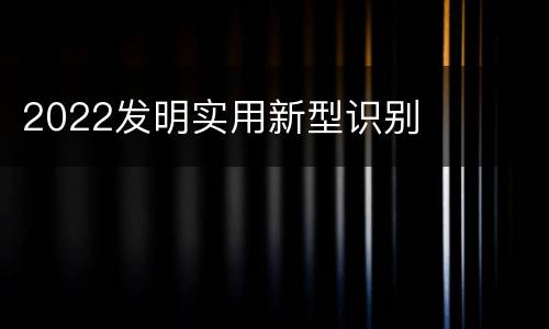 2022发明实用新型识别