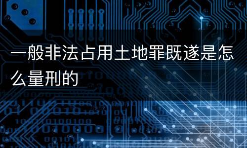 一般非法占用土地罪既遂是怎么量刑的
