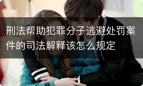 刑法帮助犯罪分子逃避处罚案件的司法解释该怎么规定
