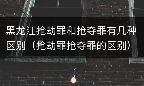 黑龙江抢劫罪和抢夺罪有几种区别（抢劫罪抢夺罪的区别）