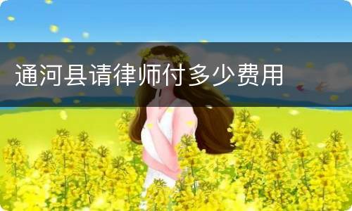 通河县请律师付多少费用