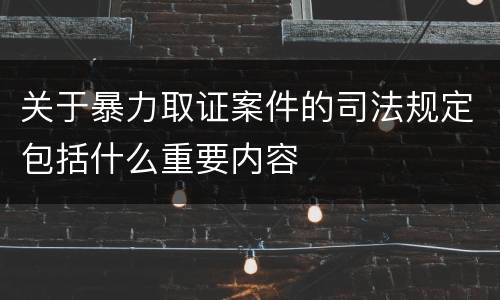 关于暴力取证案件的司法规定包括什么重要内容