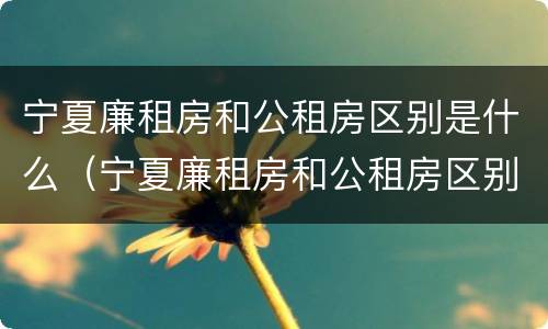 宁夏廉租房和公租房区别是什么（宁夏廉租房和公租房区别是什么意思）