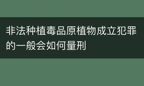 非法种植毒品原植物成立犯罪的一般会如何量刑