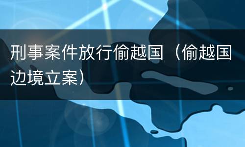 刑事案件放行偷越国（偷越国边境立案）