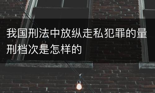 我国刑法中放纵走私犯罪的量刑档次是怎样的