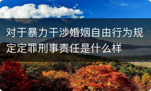 对于暴力干涉婚姻自由行为规定定罪刑事责任是什么样