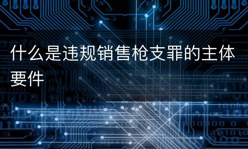 什么是违规销售枪支罪的主体要件