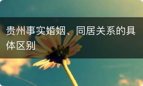 贵州事实婚姻、同居关系的具体区别