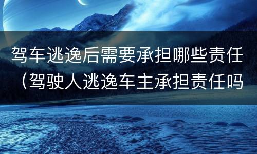 驾车逃逸后需要承担哪些责任（驾驶人逃逸车主承担责任吗）