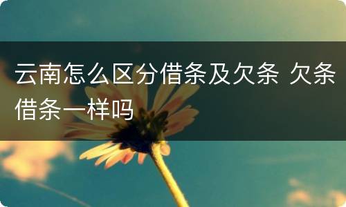 云南怎么区分借条及欠条 欠条借条一样吗
