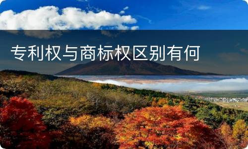 专利权与商标权区别有何