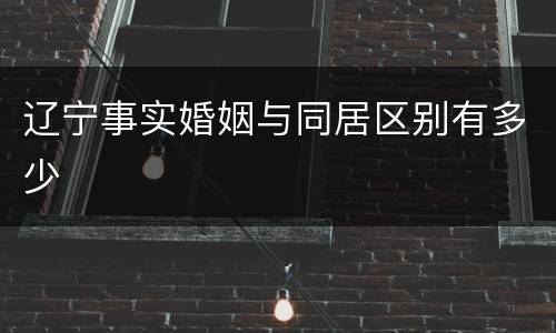 辽宁事实婚姻与同居区别有多少