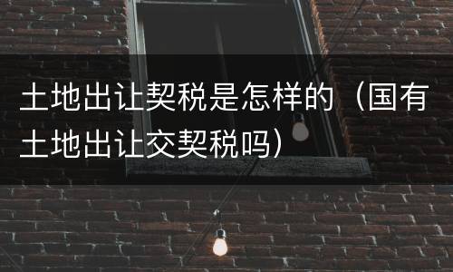 土地出让契税是怎样的（国有土地出让交契税吗）