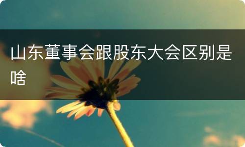 山东董事会跟股东大会区别是啥