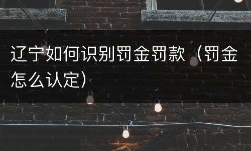 辽宁如何识别罚金罚款（罚金怎么认定）