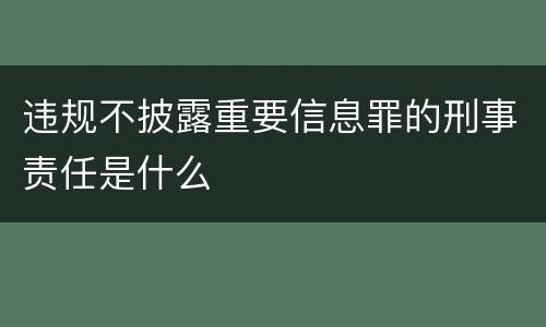 违规不披露重要信息罪的刑事责任是什么