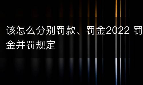 该怎么分别罚款、罚金2022 罚金并罚规定