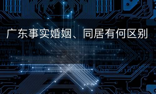 广东事实婚姻、同居有何区别