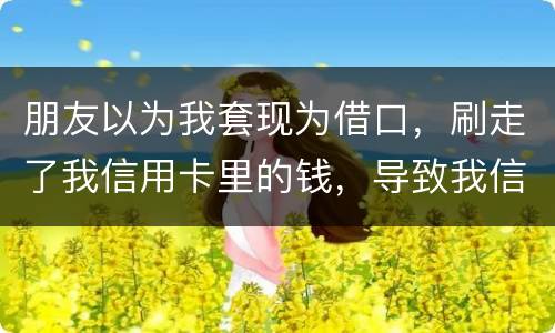朋友以为我套现为借口，刷走了我信用卡里的钱，导致我信用卡透支，这应该怎么办