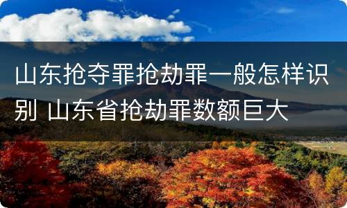 山东抢夺罪抢劫罪一般怎样识别 山东省抢劫罪数额巨大