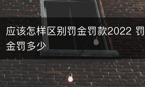 应该怎样区别罚金罚款2022 罚金罚多少