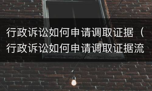 行政诉讼如何申请调取证据（行政诉讼如何申请调取证据流程）