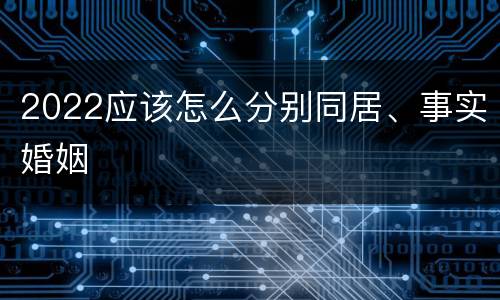 2022应该怎么分别同居、事实婚姻