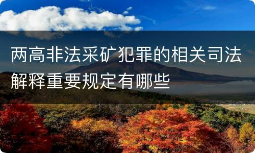 两高非法采矿犯罪的相关司法解释重要规定有哪些