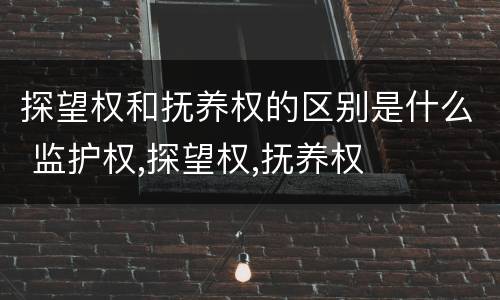 探望权和抚养权的区别是什么 监护权,探望权,抚养权