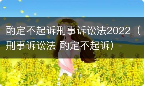酌定不起诉刑事诉讼法2022（刑事诉讼法 酌定不起诉）
