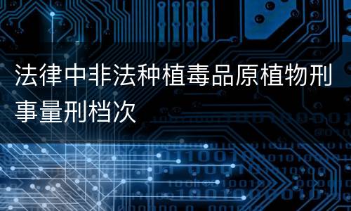 法律中非法种植毒品原植物刑事量刑档次