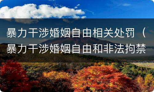 暴力干涉婚姻自由相关处罚（暴力干涉婚姻自由和非法拘禁）