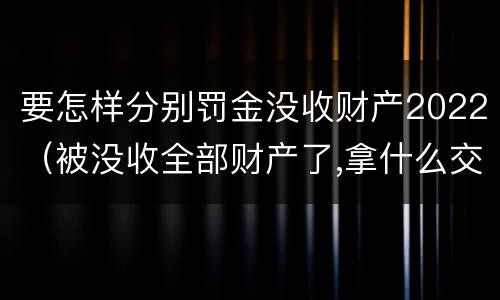 要怎样分别罚金没收财产2022（被没收全部财产了,拿什么交罚金）