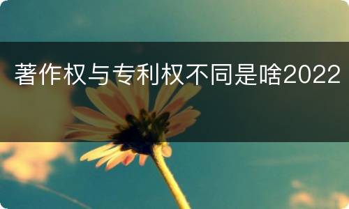 著作权与专利权不同是啥2022