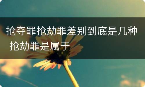 抢夺罪抢劫罪差别到底是几种 抢劫罪是属于