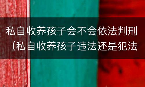 私自收养孩子会不会依法判刑（私自收养孩子违法还是犯法）