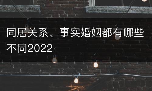 同居关系、事实婚姻都有哪些不同2022