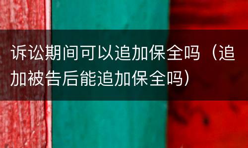 诉讼期间可以追加保全吗（追加被告后能追加保全吗）