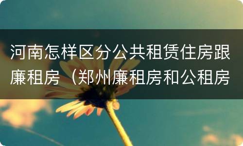 河南怎样区分公共租赁住房跟廉租房（郑州廉租房和公租房的区别）