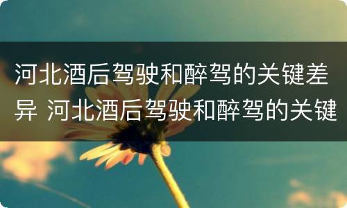 河北酒后驾驶和醉驾的关键差异 河北酒后驾驶和醉驾的关键差异有哪些