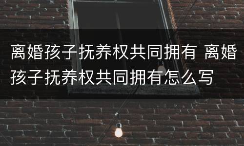 离婚孩子抚养权共同拥有 离婚孩子抚养权共同拥有怎么写