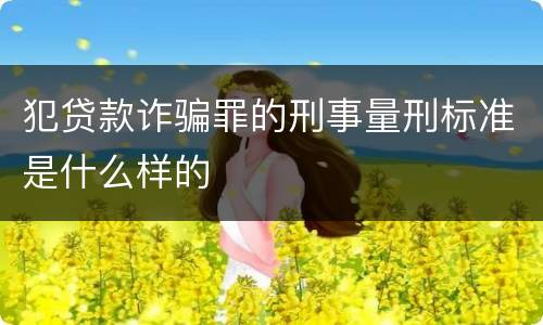 犯贷款诈骗罪的刑事量刑标准是什么样的