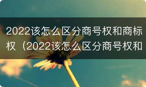 2022该怎么区分商号权和商标权（2022该怎么区分商号权和商标权的区别）