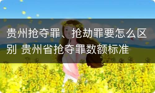 贵州抢夺罪、抢劫罪要怎么区别 贵州省抢夺罪数额标准