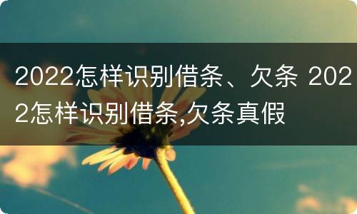 2022怎样识别借条、欠条 2022怎样识别借条,欠条真假