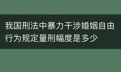 我国刑法中暴力干涉婚姻自由行为规定量刑幅度是多少