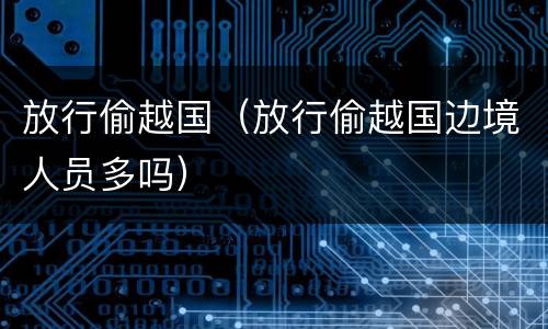 放行偷越国（放行偷越国边境人员多吗）