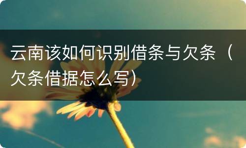 云南该如何识别借条与欠条（欠条借据怎么写）